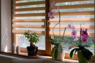 Local Indoor Shutters Installation in Chelsea, MI