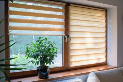 Local Plantation Blinds Repair in Boulder, CO