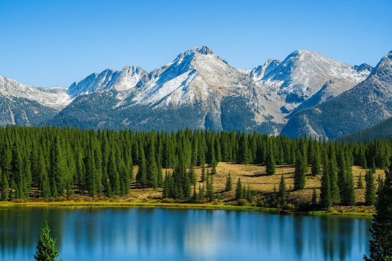 Local Indoor Shutters Repair in Lafayette, CO