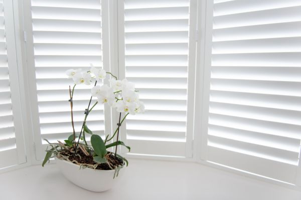 Shutter Mounting Service